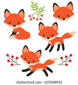 Cute Fox Vector Cartoon Illustration