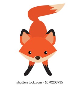 Cute fox vector cartoon illustration