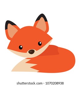 Cute fox vector cartoon illustration