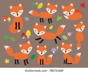 Cute Fox Vector Illustration In Various Poses With Leaves And Flower Elements.