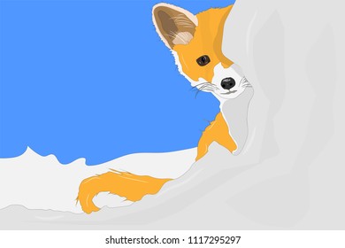 Cute fox. Vector image. White background.
