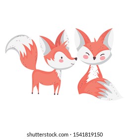 cute foxes cartoon animals on white background vector illustration