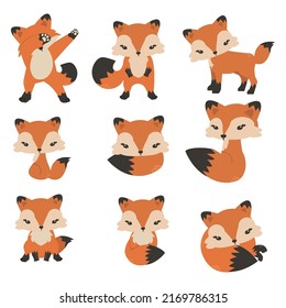 Cute foxes cartoon in different poses collection