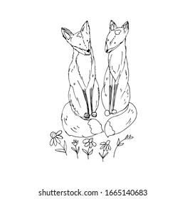 Cute foxes. Vector illustration. Line drawing. 