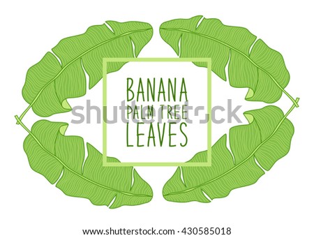 Cute frame with hand drawn banana palm tree leaves and hand written text for your decoration
