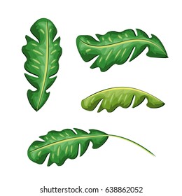 cute framework with exotic leaves plants