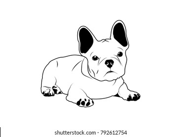 812 Dog Laser Cutting Stock Vectors, Images & Vector Art | Shutterstock