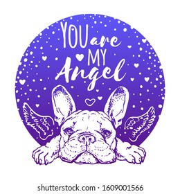 Cute french bulldog with angel wings. 
illustration you are my angel