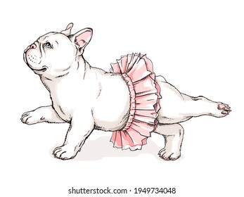 Cute french bulldog ballerina sketch. Dog in ballet tutu. Vector illustration in hand-drawn style. Image for printing on any surface