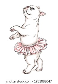 Cute french bulldog ballerina sketch  Dog in ballet tutu  Vector illustration in hand  drawn style  Image for printing any surface