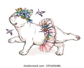 Cute french bulldog ballerina sketch  Dog in ballet tutu  Vector illustration in hand  drawn style  Dog and flowers   birds  Image for printing any surface