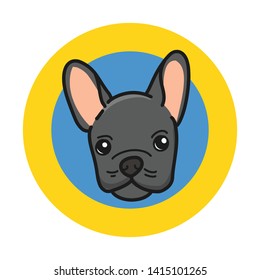 Cute French bulldog with a black color of wool on a yellow and blue circle backgorund