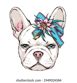 Cute french bulldog with bow and exotic flower. Vector illustration in hand-drawn style. Image for printing on any surface