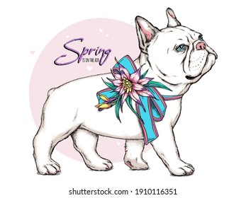 Cute french bulldog with bow and flowers. Spring is in the air illustration. Stylish image for printing on any surface	