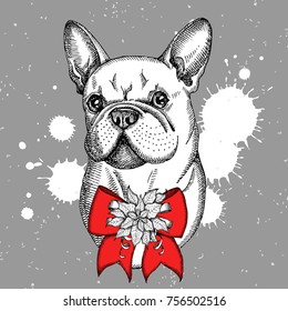 Cute French Bulldog with bow and grunge background Print for t-shirts and bags, poster or greeting card. Hand drawn dog