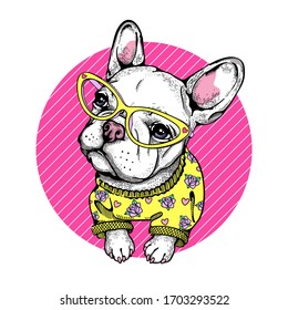 
Cute french bulldog in bright clothes and stylish glasses. Vector illustration. Image for printing on any surface