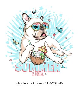 Cute französische Bulldogge mit Schmetterlingen und Cocktail aus Kokosnuss. Der Sommer kommt zur Illustration. Stilvolles Bild für den Druck auf einer beliebigen Oberfläche