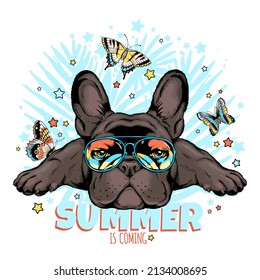 Cute french bulldog with butterflies.Summer is coming  illustration. Stylish image for printing on any surface