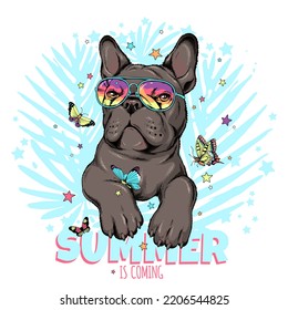 Cute french bulldog with butterflies.Summer is coming  illustration. Stylish image for printing on any surface