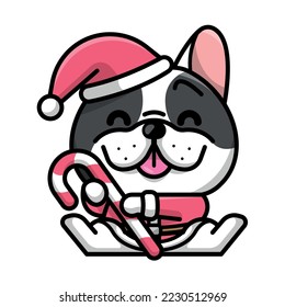 A CUTE FRENCH BULLDOG WITH CHRISTMAS COSTUME IS HOLDING A CANDY