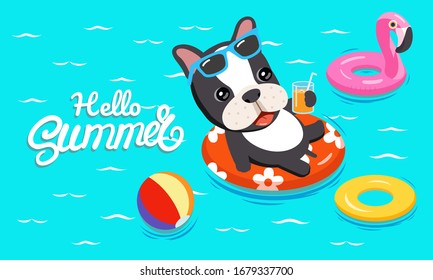 Cute French Bulldog with cocktails and swimming toys In the summer pool