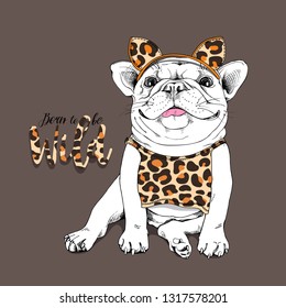 Cute French bulldog in a costume of a leopard with a spots. Born to be wild - lettering quote. Humor t-shirt composition, hand drawn style print. Vector illustration.