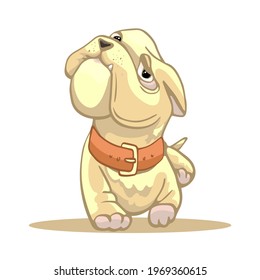 cute french bulldog dog runs, goes, cartoon brown collar, vector illustration
for graphics, content, banner and greeting card