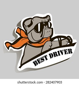 Cute French Bulldog driving a car