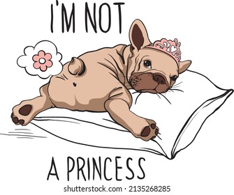 Cute french bulldog farts flowers. The girl is a princess