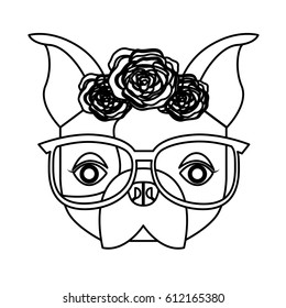 cute french bulldog female with hipster accessory vector illustration design