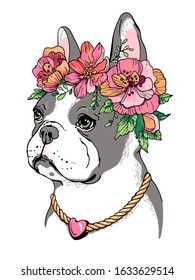 
Cute french bulldog in flower wreath