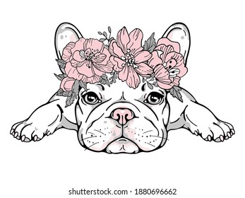 Cute french bulldog in flower wreath. Wector illustration