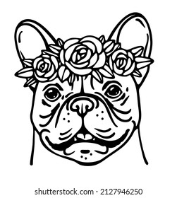 Cute french bulldog with flower wreath, frenchie