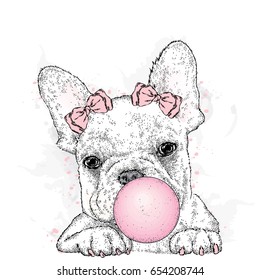 Cute French bulldog with gum. A beautiful dog puffs out a ball of gum. Purebred puppy. Vector illustration for a postcard or a poster, print for clothes.