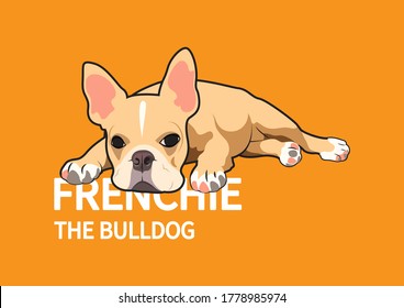 A cute French Bulldog lay down on the floor in an orange background. Vector illustration of a cute French Bulldog lying on the floor against an orange background. Endearing and calming design.