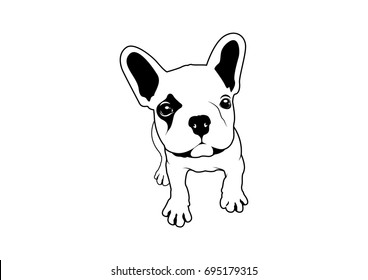 Cute French Bulldog Looking at Owner Black and White Logo Vector. Charming French Bulldog gazes at its owner in this black and white logo vector, capturing a heartwarming bond and loyalty.