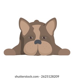 Cute french bulldog is lying down and peeking over a blank surface