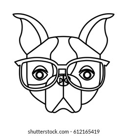 cute french bulldog male with hipster accessory vector illustration design