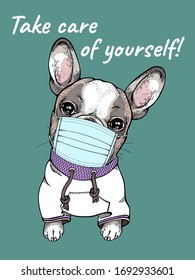 
Cute french bulldog in a medical mask.