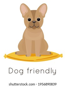 Cute French Bulldog on a pillow. With Dog friendly logo. Logo for banners, flyers, postcards, signs for cafes, restaurants and hotels.