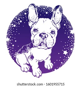 
Cute french bulldog on starry sky background