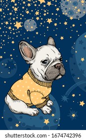 Cute french bulldog on starry sky background. Dog in space