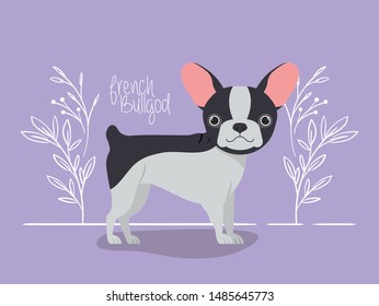 cute french bulldog pet character