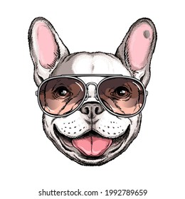 Cute french bulldog portrait. Dog in sunglasses. Vector illustration. Stylish image for printing on any surface