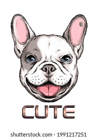 Cute french bulldog portrait. Vector illustration. Stylish image for printing on any surface