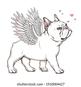 Cute french bulldog puppy with angel wings. Vector illustration in hand-drawn style. Stylish image for printing on any surface	