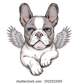 Cute french bulldog puppy with angel wings. Vector illustration in hand-drawn style. Stylish image for printing on any surface	