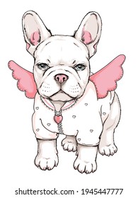 Cute french bulldog puppy in an angel costume. Vector illustration in hand-drawn style. Image for printing on any surface