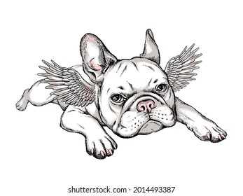 Cute french bulldog puppy with angel wings. Vector illustration in hand-drawn style. Stylish image for printing on any surface	