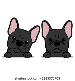 Cute french bulldog puppy black color cartoon, vector illustration